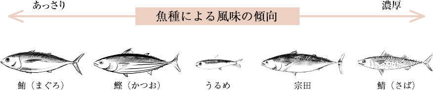 魚種による風味の傾向