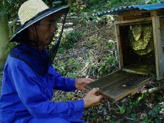 養蜂家　水野良行さん