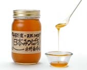 日本蜜蜂のハチミツ