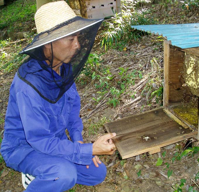 女性と男性の養蜂家のための面白い養蜂好きのグラフィック トレーナー 世界の