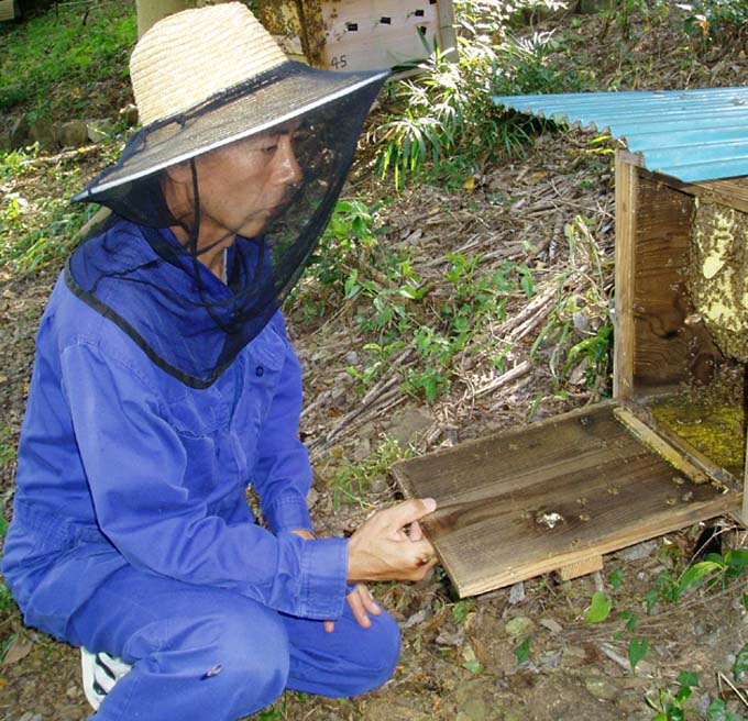 養蜂家　水野良行さん